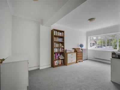Picture 11